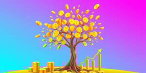 The Capital Key: Insights into Wealth Accumulation